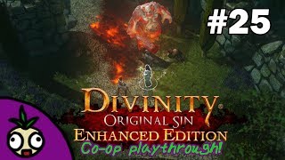 Graveyard Shift | Ankford & Friend Plays: Divinity Original Sin Co-op! | Part 25