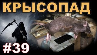 #39. Охота на КРЫС с комплексом “HWRAT-HUNTER“. Крысопад