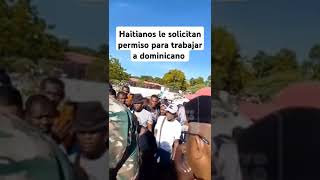 Haitianos le solicitan permiso para trabajar a dominicano  #bávaro #noticias #haiti #flowers