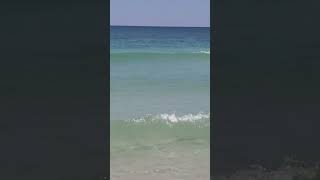 🏖Walk into the emerald waters of Pensacola beach, FL 🇺🇸 #florida #summer #beach #waves #chill #relax