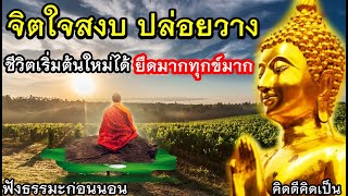 ชีวิตเริ่มต้นใหม่ได้ ยึดมากทุกข์มาก ทำจิตใจสงบ 🙏ฟังธรรมะก่อนนอน(977)23