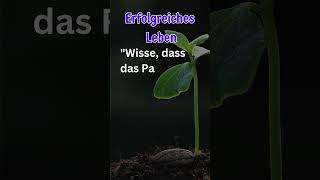 Zitate des Propheten Muhammad (Friede sei mit ihm) #shorts #short #zitatliebe #prophetmuhammad