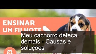 Meu cachorro DEFECA DEMAIS - Causas e soluções