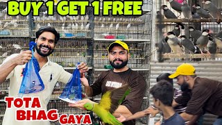 Karachi Ke Sub Say Sasti Dukan dhoond li Birds Ke | Fawn Jawa