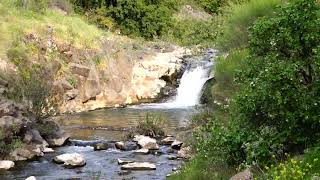 ישראל. טבע. מפל סער Израиль. природа. Штурмовые водопады Israel. nature. Assault Falls