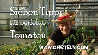 Tomaten pflanzen - Sieben Tipps für perfekte Tomaten 🍅 in eurem Garten und auf dem Balkon