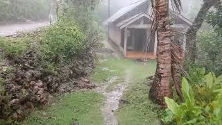 Heavy Rain in Countryside of Indonesia. So Calm and Relaxing