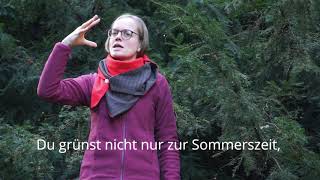 #NPWadvent - TÜR 15: Weihnachtslieder mal anders