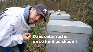 #Shorts Visite hivernale rapide, bzzz et pesée | Beopolis