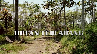 GENTRA MAHAJANA #3 HUTAN TERLARANG CIPANAS   PUNCAK