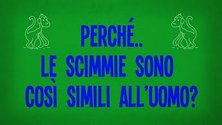 Perché le scimmie sono così simili all’uomo?