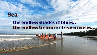 mesmerising sea ||colors of life || colors of sea || art of fishing || Kerala