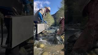 THROWING THE SLUICE IN THE RIVER!