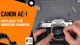 Canon AE-1 - Replace the Mirror Damper