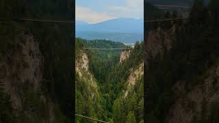 Suspension bridge #nature #travel #canada #india #shorts