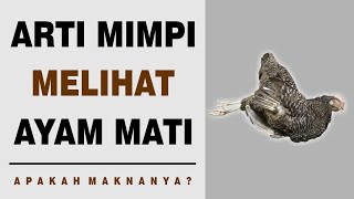 Arti Mimpi Melihat Ayam Mati