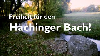 Der Hachinger Bach - auch in Berg am Laim an die Oberfläche!