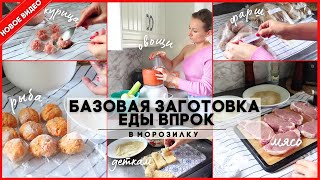 ❄️ЗАГОТОВКА ЕДЫ В МОРОЗИЛКУ: КУРИЦА ФАРШ РЫБА МЯСО ОВОЩИ🥩 7 СУПОВ и 13 УЖИНОВ 👌🏼