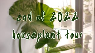 HOUSEPLANT TOUR  | 50+ plants, end of 2022