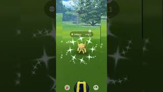 AI Clips #shinypokemon  #pokemongo  #pokemon