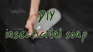 HOW TO MAKE INSECTICIDAL SOAP | houseplant pest control diy