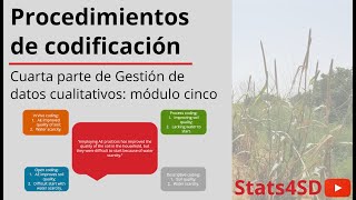 Procedimientos de codificación