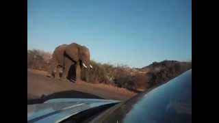 Pilanesberg National Park wrzesien 2014 SLON