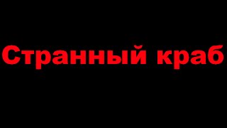 СТРАННЫЙ КРАБ