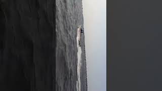 Wild Shark |ANTHONY WATER SPORTS | #shorts #viral #trending