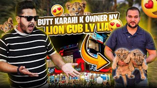 Dost ko Lion Cub De Dia 😍|Cubs ko Separate krtay Wqt Lioness Mother Aggressive ho Gai😰|Nouman Hassan