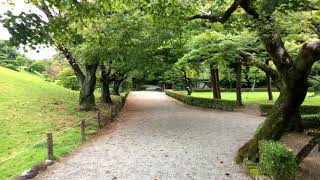 水前寺成趣園・朝のおさんぽ