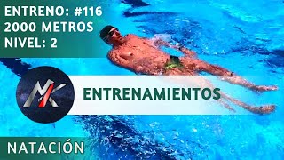 🏊 DIARIO de ENTRENAMIENTOS 📖 Capítulo 116: VUELTA al POLVORÍN de TACO ↩ [Entrenamientos]