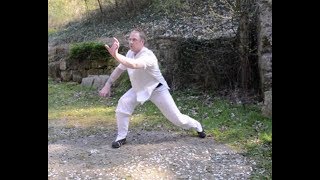 Wudang Black Tiger Style