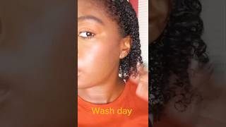 Wash day #shortvideo #haircare #beauty