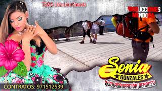 SONIA GONZALES Llora Llora Guitarrita PRIMICIA 2020 ᴴᴰ