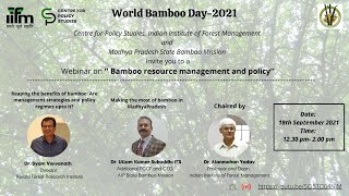 Bamboo Resource Management and Policy | Centre for Policy Studies | IIFM