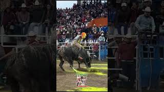 Diablito De La Mora vs Garfield de Rancho El Guamuchil  #jaripeo