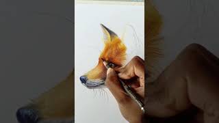 Keep this Colored Pencils tip in mind when drawing animals! #animalart #wildlife #shorts #artvideo