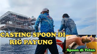 UMPAN IKAN TEMBANG KEOK SAMA BESI (SPOON), TENGGIRI BABON SPOT RIG PAYUNG