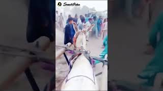 Pakistani funny video   Funny Pakistani Videos   Comed   Memes Pakistani   Memes 5