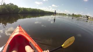 Paddleboarding in Palm City