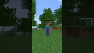 Типичный мой дет#майнкрафт #minecraft #short #shorts