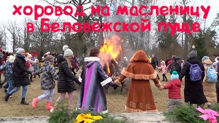 ХОРОВОД НА МАСЛЕНИЦУ В БЕЛОВЕЖСКОЙ ПУЩЕ