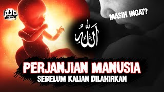 SUBHANALLAH!! PERJANJIAN MANUSIA DENGAN ALLAH | Ketika di Dalam Rahim Sebelum di Lahirkan