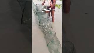 Unique Fish catching #fishing #viralvideo #freshwaterfish #fishcatching #khobor #trending #ytshorts