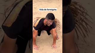 Vida de formiga🐜