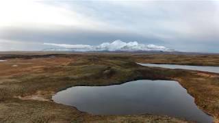 Cold Bay Alaska, November 2018