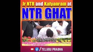 Jr NTR and Kalyanram at NTR GHAT #jrntr #kalyanram #ntrghat #ytshorts  | Telugu Prabha