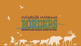 Wildlife Without Borders - Trailer