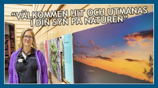 Naturum: Missa inte årets tillfälliga utställning innan vi stänger